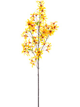 Load image into Gallery viewer, Yellow Gold