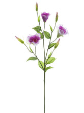 Load image into Gallery viewer, Amethyst