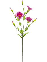 Load image into Gallery viewer, Ruburm