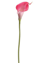 Load image into Gallery viewer, Fuchsia