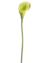 Load image into Gallery viewer, Green