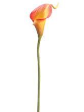 Load image into Gallery viewer, Orange