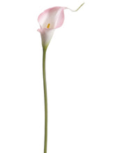 Load image into Gallery viewer, Pink