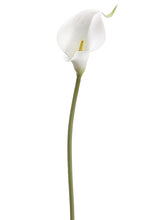Load image into Gallery viewer, White