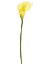 Load image into Gallery viewer, Yellow