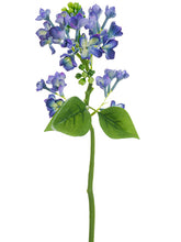Load image into Gallery viewer, Blue
