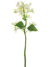 Load image into Gallery viewer, White Cream