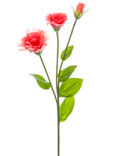 Load image into Gallery viewer, Coral