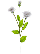 Load image into Gallery viewer, Gray