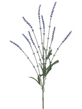 Load image into Gallery viewer, Blue