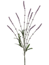 Load image into Gallery viewer, Lavender
