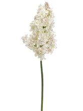 Load image into Gallery viewer, Cream Blush