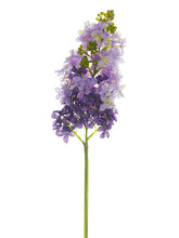 Load image into Gallery viewer, Purple Lavender