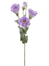 Load image into Gallery viewer, Amethyst