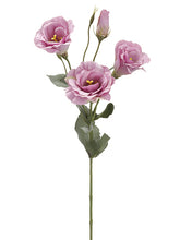 Load image into Gallery viewer, Lilac