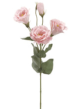 Load image into Gallery viewer, Pink Soft