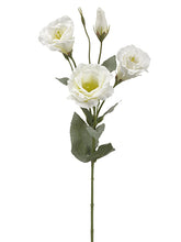 Load image into Gallery viewer, White