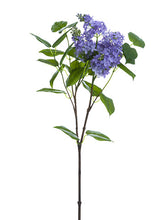 Load image into Gallery viewer, Lavender