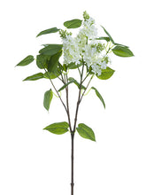 Load image into Gallery viewer, White