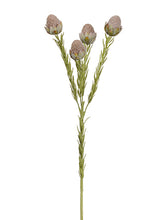Load image into Gallery viewer, Brown