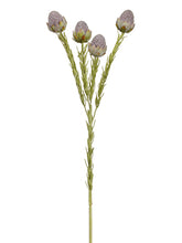 Load image into Gallery viewer, Light Brown