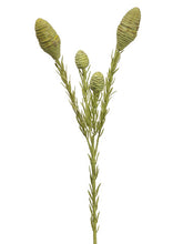 Load image into Gallery viewer, Green