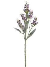 Load image into Gallery viewer, Lavender