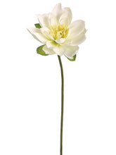 Load image into Gallery viewer, Cream Yellow