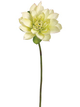 Load image into Gallery viewer, Green