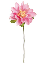 Load image into Gallery viewer, Pink