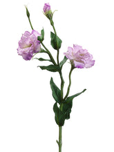 Load image into Gallery viewer, Two Tone Lilac
