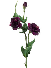 Load image into Gallery viewer, Two Tone Violet