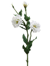 Load image into Gallery viewer, White