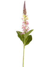 Load image into Gallery viewer, Lavender