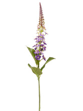 Load image into Gallery viewer, Purple