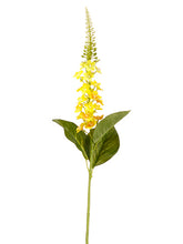 Load image into Gallery viewer, Yellow