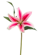 Load image into Gallery viewer, Fuchsia