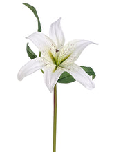 Load image into Gallery viewer, White