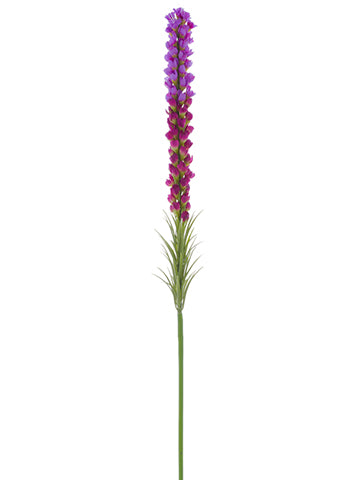 Lavender Orchid