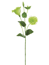 Load image into Gallery viewer, Green