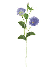 Load image into Gallery viewer, Lavender