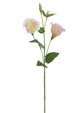 Load image into Gallery viewer, Pink