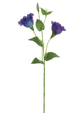 Load image into Gallery viewer, Purple