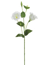 Load image into Gallery viewer, White