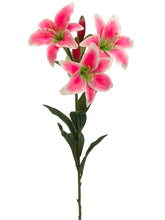 Load image into Gallery viewer, Pink