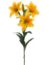 Load image into Gallery viewer, Yellow