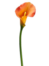 Load image into Gallery viewer, Two Tone Orange