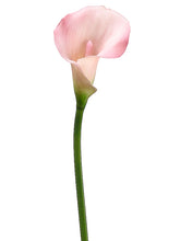 Load image into Gallery viewer, Pink