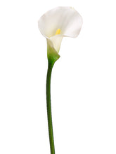 Load image into Gallery viewer, White
