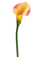 Load image into Gallery viewer, Pink Yellow